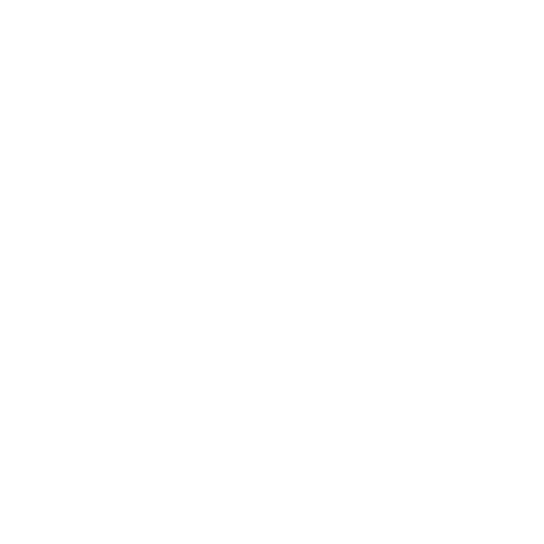 Bondi lines logo